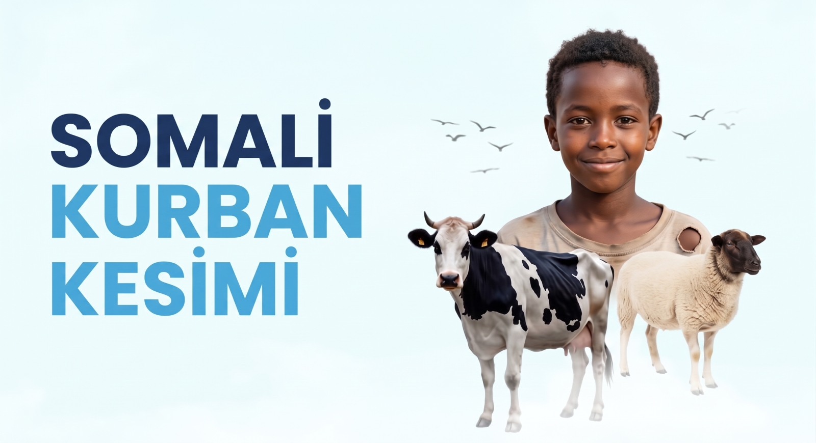 Somali adak kurbanı koyun kesimi